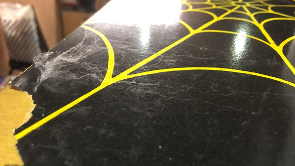 Elvira spinneweb